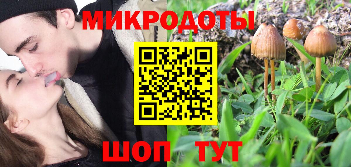 Галлюциногенные грибы GOLDEN TEACHER Железноводск