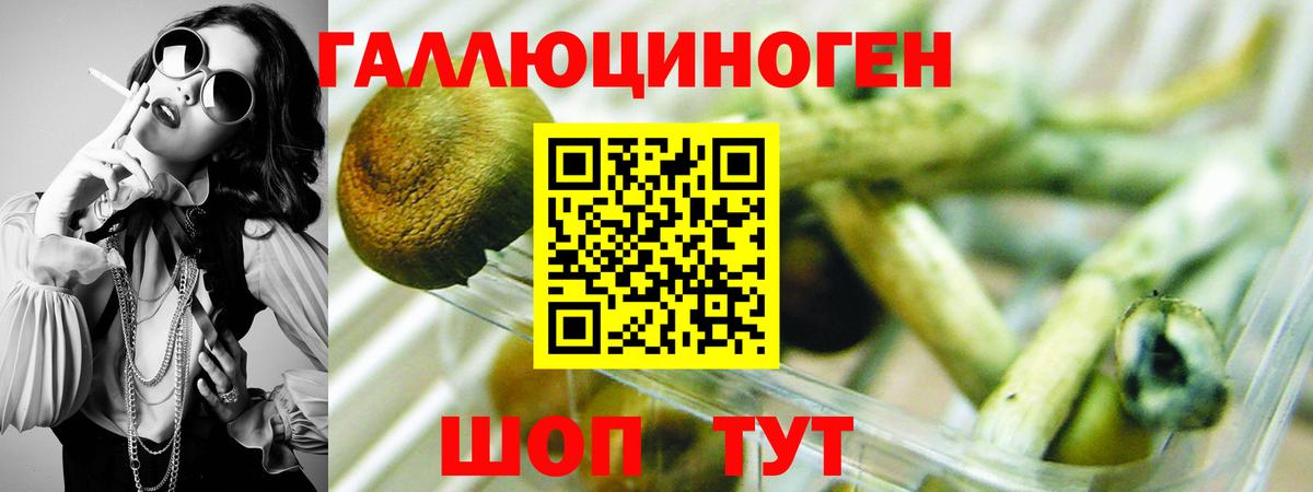 Псилоцибиновые грибы Psilocybine cubensis  Вход с VPN  Железноводск 